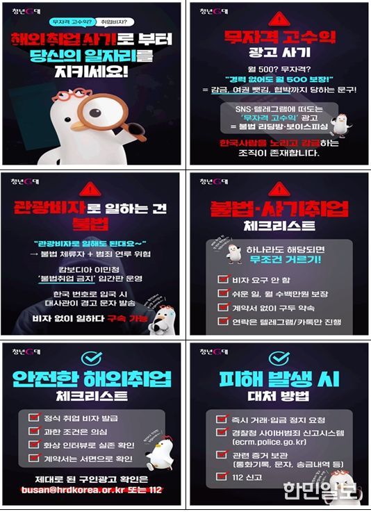 「청년 해외취업 범죄피해 예방」카드뉴스