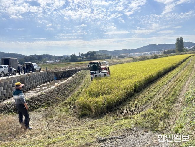 부여읍 행복 나눔 벼 베기 행사