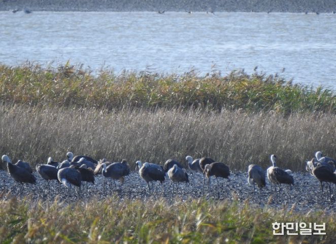 겨울 핫플, ‘순천여행’