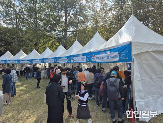 양구 감성 축제