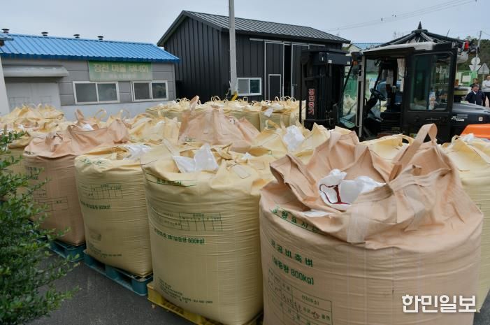 지난해 공공비축미곡 매입 당시 사진