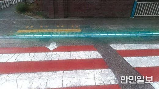 묵호역사거리 등 3곳에‘바닥형 보행신호등’ 설치