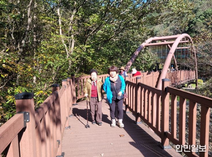 금산산림문화타운 무장애나눔길