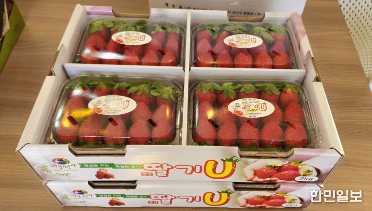 달콤한 시작은 홍성에서...홍성딸기 가락시장 데뷔!