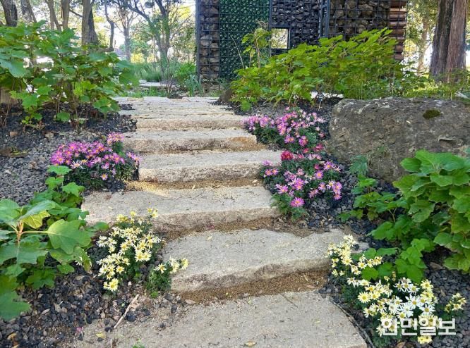 진주시 ‘초전공원’ 가을꽃 식재 ‘눈길’