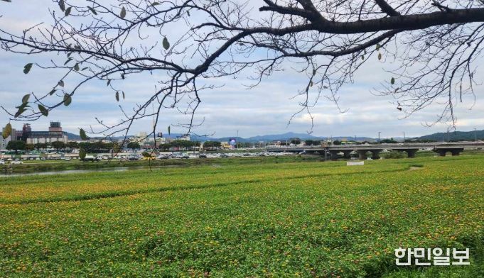 경주시 형산강변