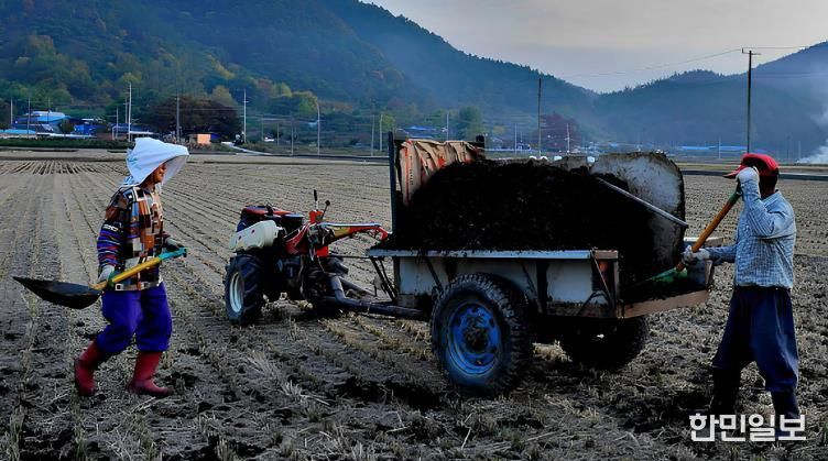 퇴비 살포 사진