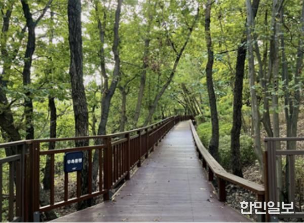 ‘서리풀공원 무장애숲길 연결로’ 조성