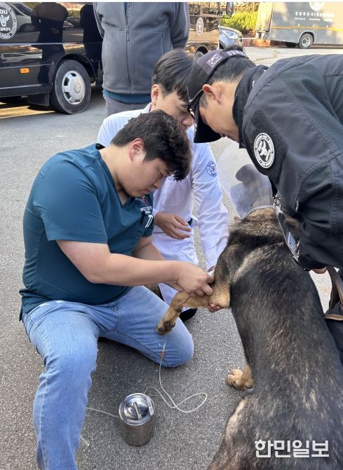 경상국립대학교 수의과대학, APEC 정상회의 기간 경찰견 의료지원