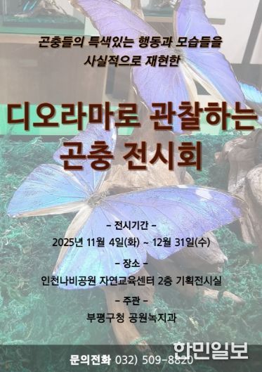 인천나비공원, ‘디오라마로 관찰하는 곤충 전시회’개최