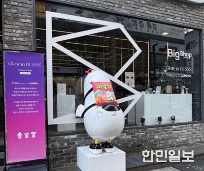 팝업 존 쇼윈도