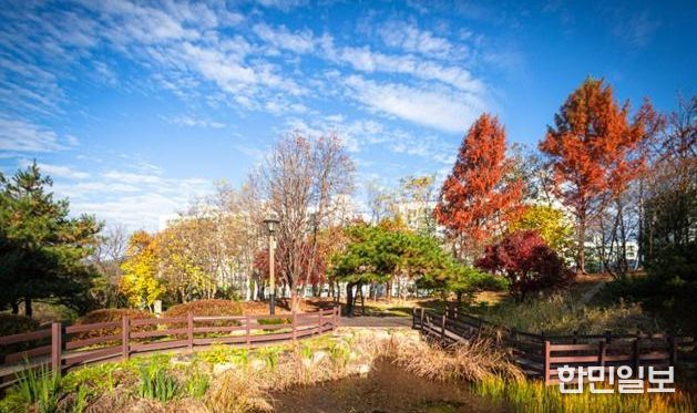 횡성 3.1공원, 산림청 주관‘모범도시숲’ 최종 선정