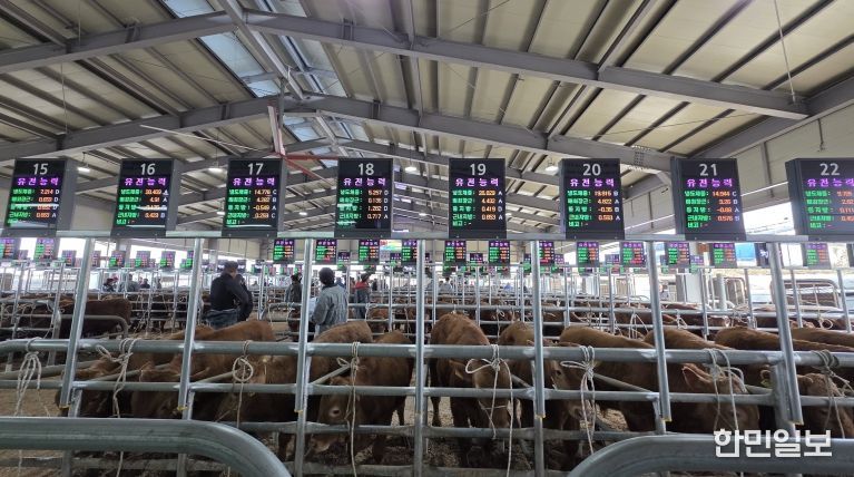 음성축협, 스마트 가축시장 플랫폼 구축 완료