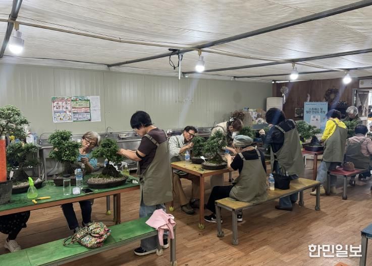 국화 석부작 만들기 모습