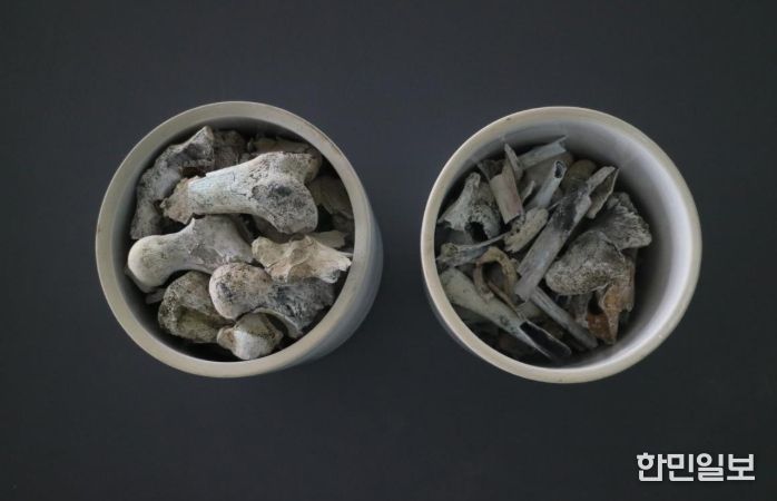 2005년 3월 경상북도 포항시 북구 흥해읍 도음산 정상에서 발굴한 국군 제8사단 10연대 소속의 고(故) 양이한 일병의 유해