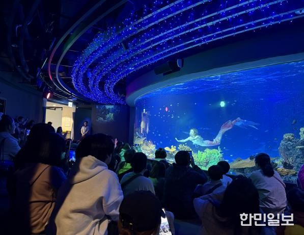 수원특례시 드림스타트 아동·가족이 아쿠아플라넷 관람을 하고 있다.