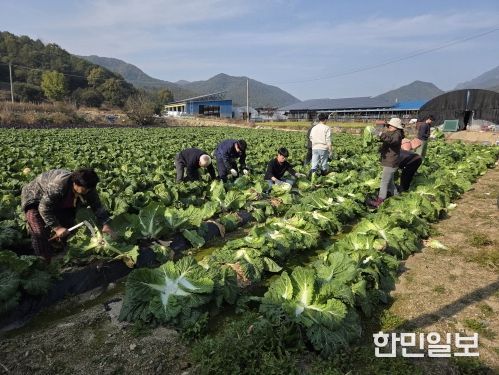 금산군청 건설교통과 직원들 농촌일손돕기 모습
