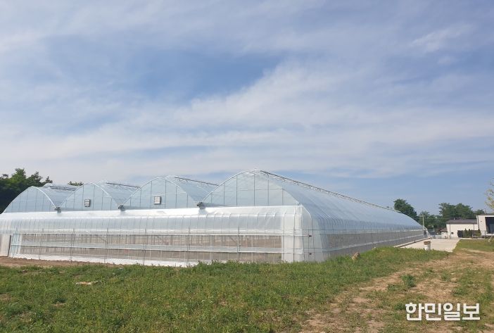 내재해형 비닐하우스