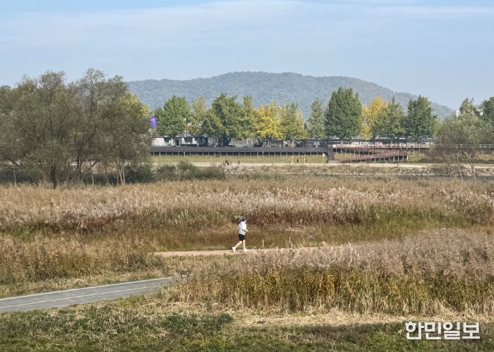‘가을의 도시’ 아산서 은빛 억새·황금 단풍 즐겨요