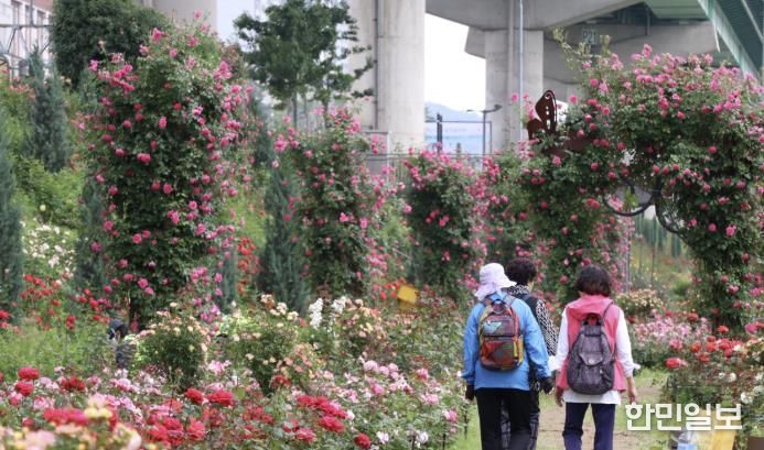 금천구 안양천 일대 전경