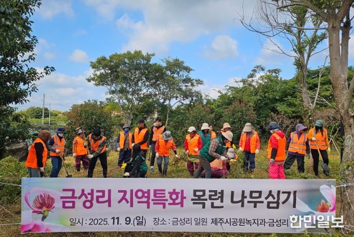 금성리 지역특화 목련나무 심기