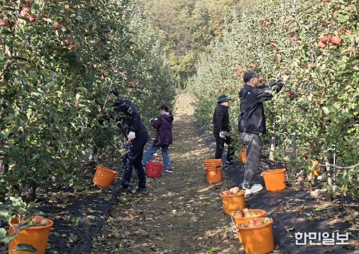 시설관리사업소 일손돕기