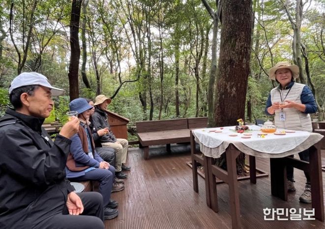 산림치유프로그램