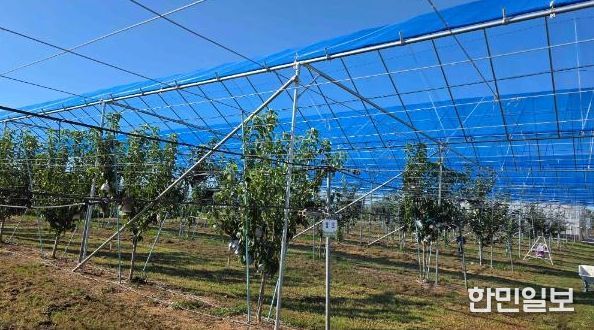 배 농가와 함께 ‘과수 기후변화 대응 현장 컨설팅’