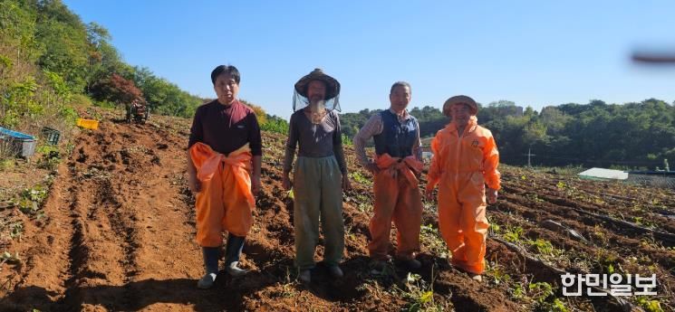 교동통장협의회, 농촌 일손 돕기 봉사