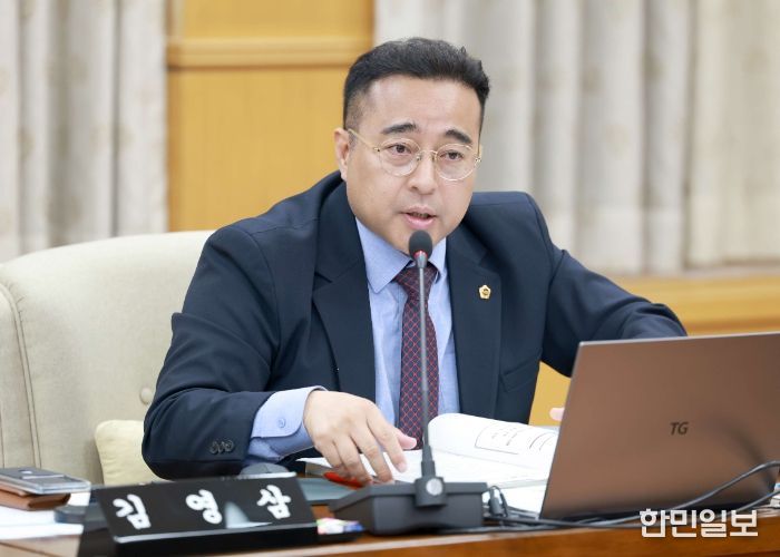 김영삼 대전시의원