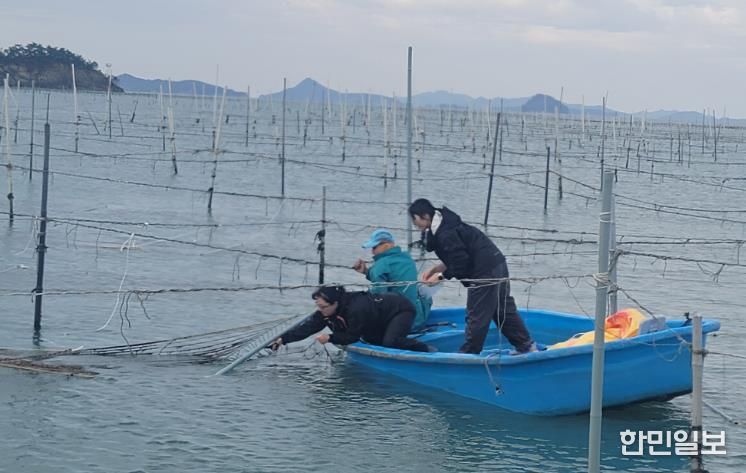 해양수산과학원 김 연구 사진