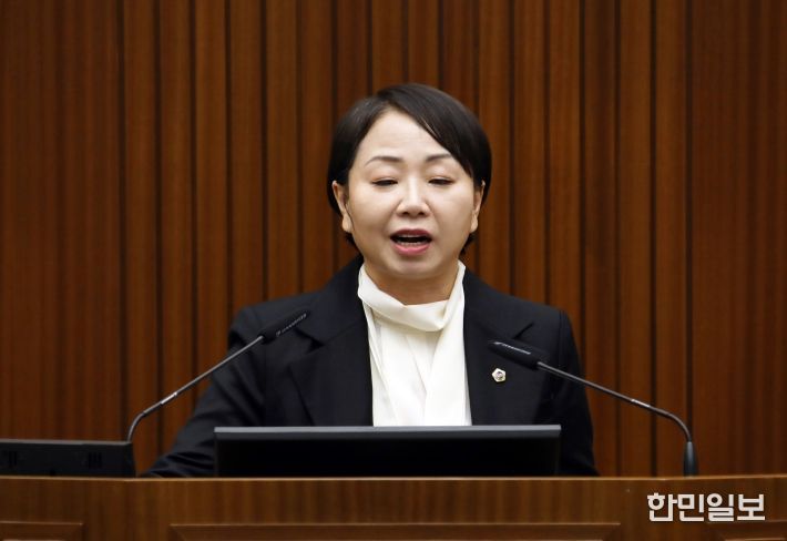 세종시의회 홍나영 의원