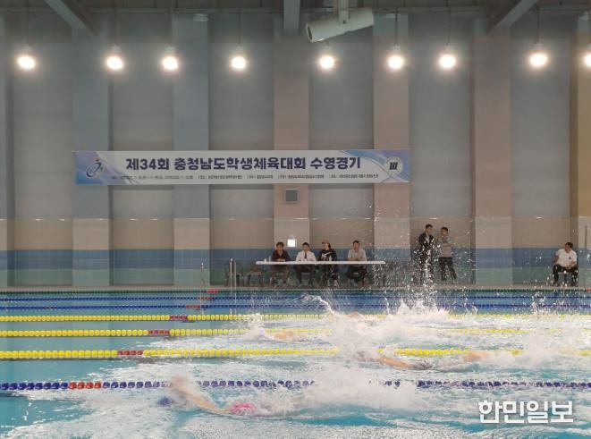 태안교육지원청, 제34회 충청남도학생체육대회서 우수성적 거둬