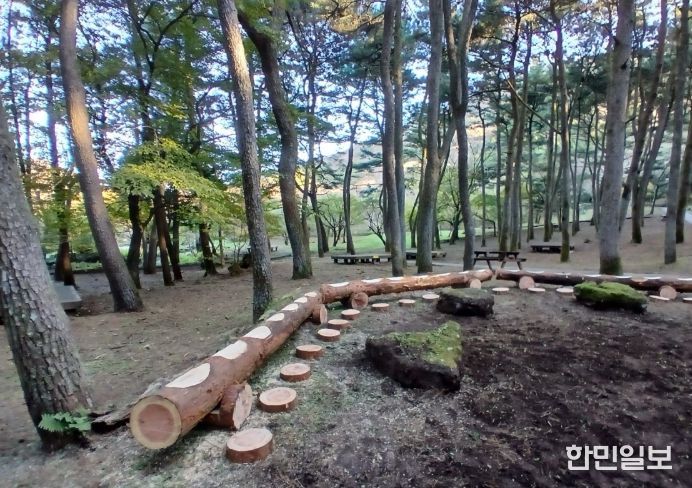 간벌목 활용 자연형 수로·휴식공간