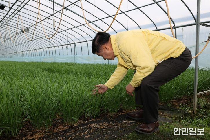 고성군수, 부추재배 농가 현장 찾아 농업인 격려