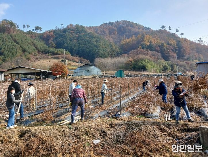 금산다락원 가을철 농촌일손돕기