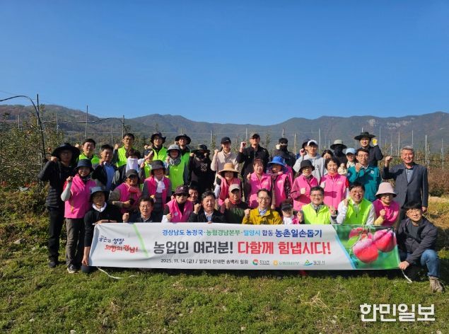 경남농협-밀양시-민간(고.주.모) 합동 밀양시 사과수확 현장 찾아 농촌 일손