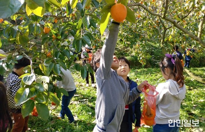 농촌체험휴향마을-곡성 가정마을