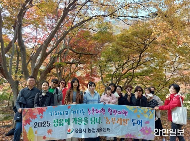 내장산 단풍 보고 막걸리 체험… 정읍 ‘농뚜레일 투어’ 성황