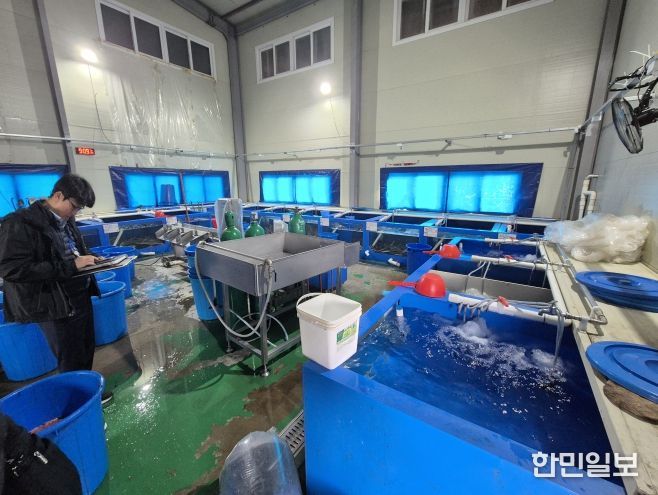 국내산 민물장어로 둔갑된 중국산 장어 현황판을 확인 중인 중부해경과 수품원 공무원