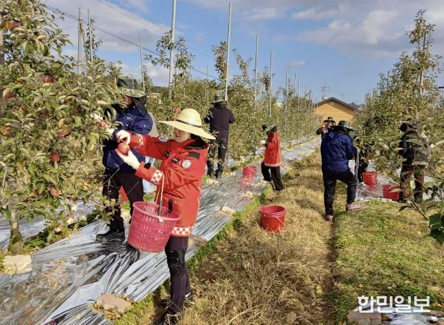 홍성군 홍성읍·구항면, 가을철 농촌 일손돕기 나서
