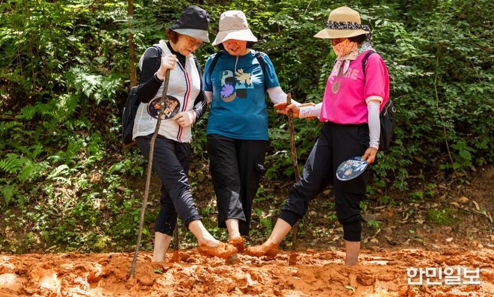 대전시‘맨발걷기 녹색도시’조성 본격화