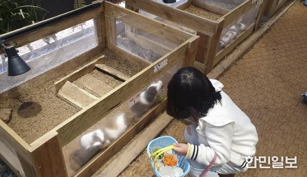 굼프로 곤충체험학습장