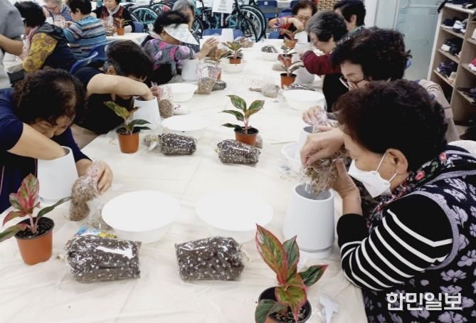 어르신들이 원예프로그램에 참여하고 있는 모습