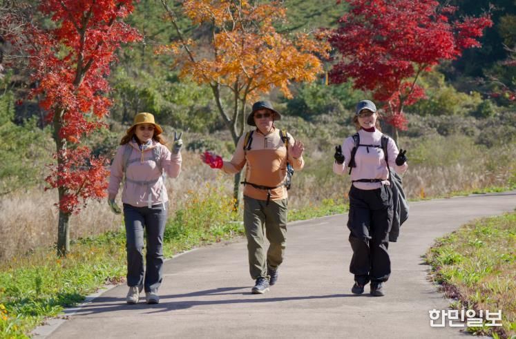 가을 단풍과 함께 한 남해바래길 11월‘작은 소풍’