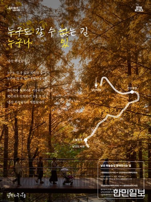 하늘숲길 홍보 포스터