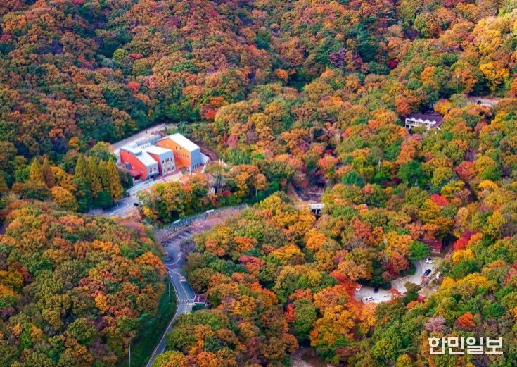 거제 자연휴양림