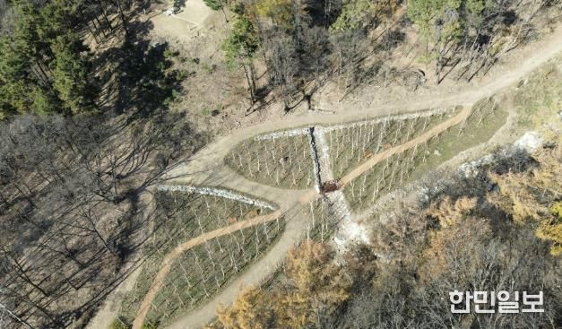 용인특례시가 수지구 죽전동에 조성한 '도시 숲' 모습