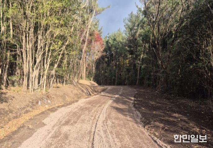 상효 임도 연장