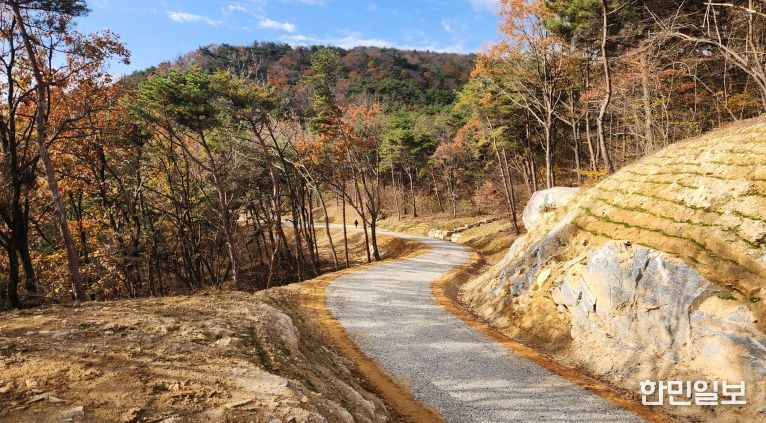산청군 신안면 갈전리 간선임도